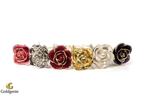 Rose-Collection