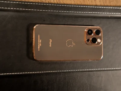 iPhone 16 Pro Max in india