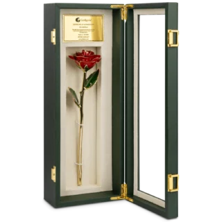 24k Gold Red Rose new