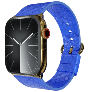 Gold Apple Watch 10 with Blue Python Strap