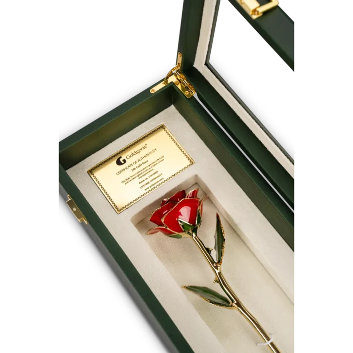 24k Gold Red Rose in Luxury window pane gift box