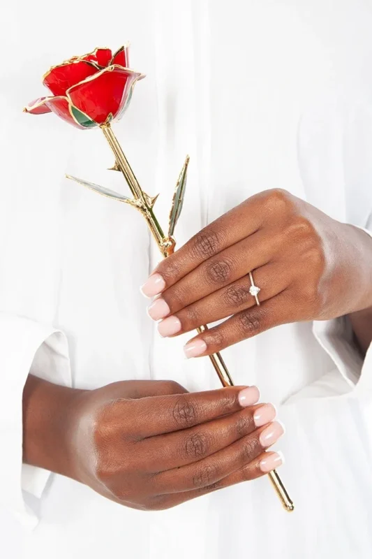 Hand Holding 24k Gold Red Rose