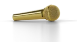 The SHURE SM58