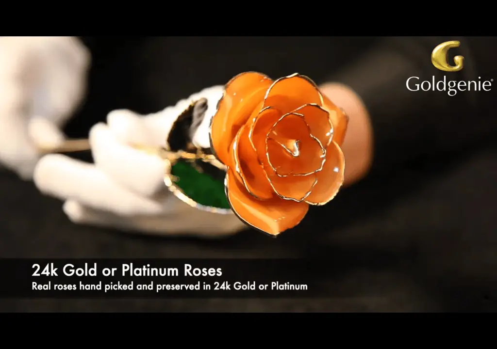 24k Gold Plated Real Aurantiago Roses