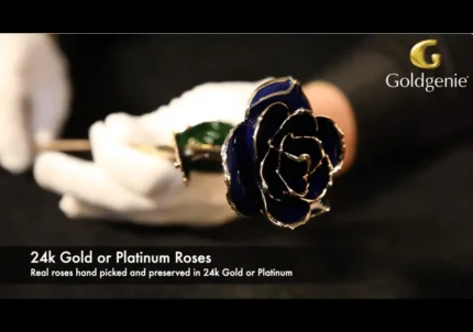 24k Gold Plated Real Azure Roses