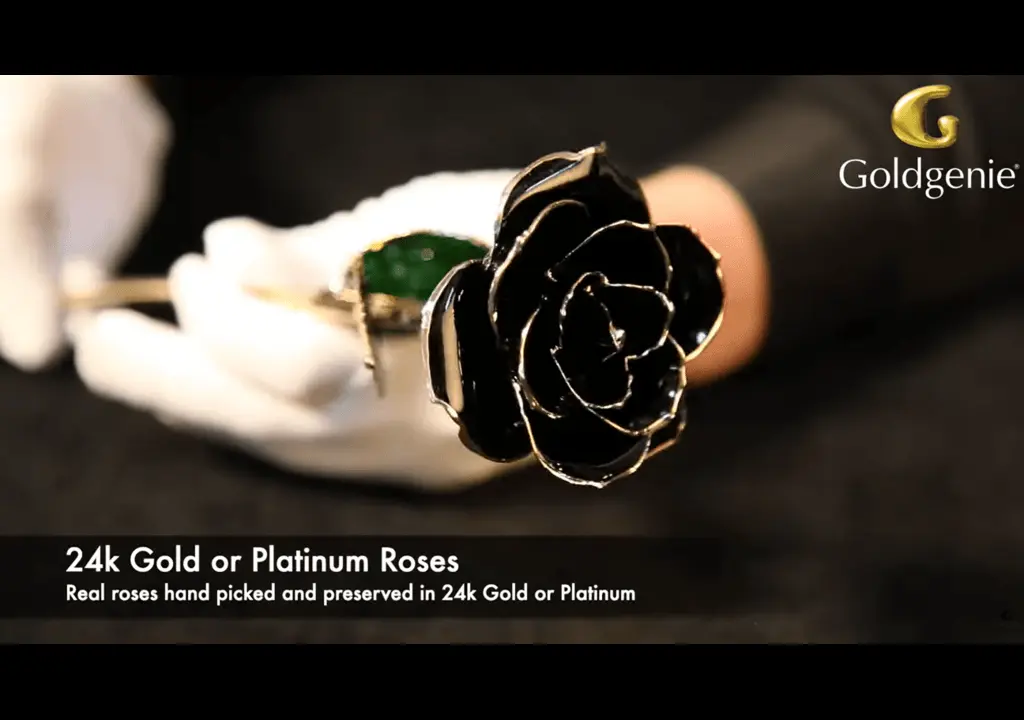 24k Gold Plated Real Ebony Roses