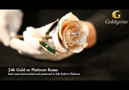 24k Gold Plated Real White Roses