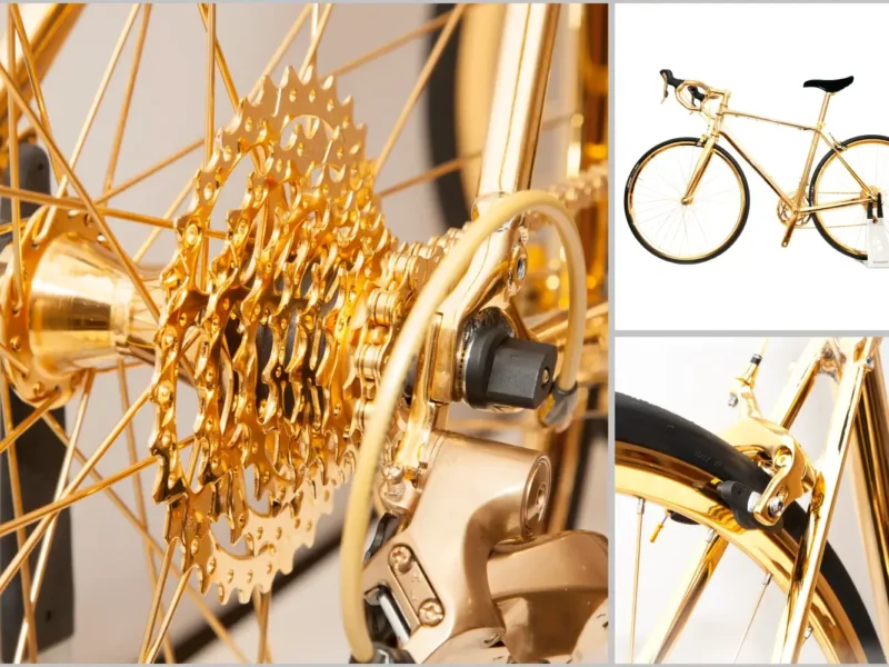 24k Gold Racing Bike