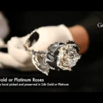 Platinum Real Roses