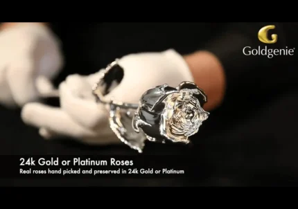 Platinum Real Roses