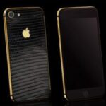 ip7 lizard black 320x200 1.jpg