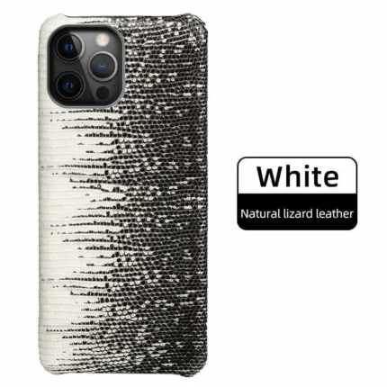 lizard case ip12130d