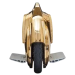 24k Gold Plated Segwheel front view