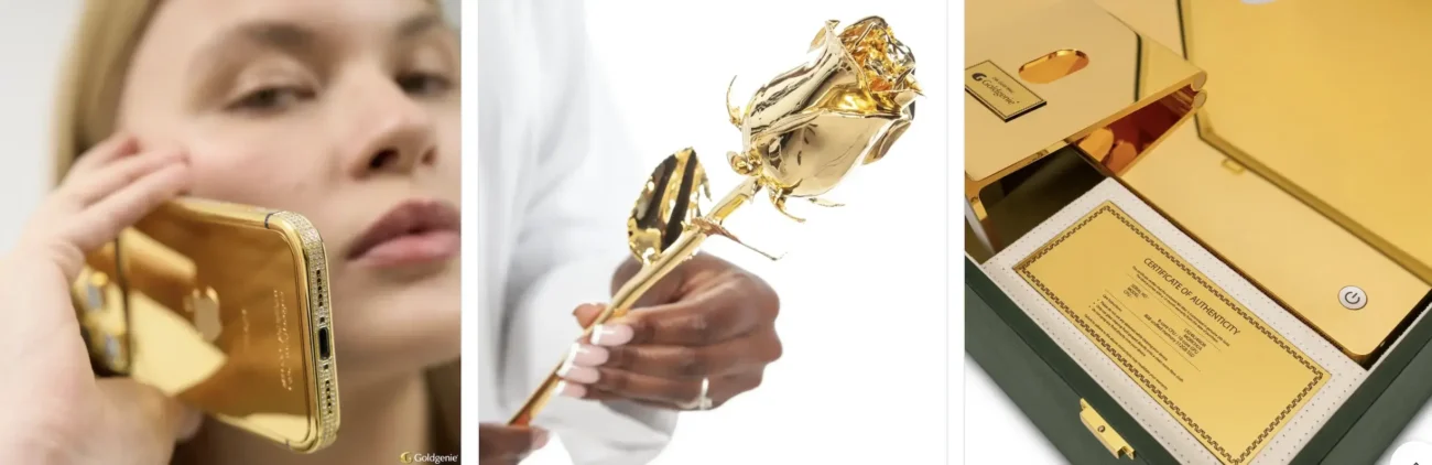 Goldgenie international master franchise territory opportunities
